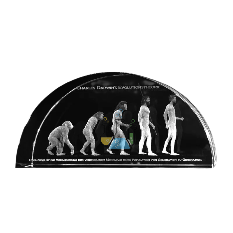 Darwin's Theory of Evolution